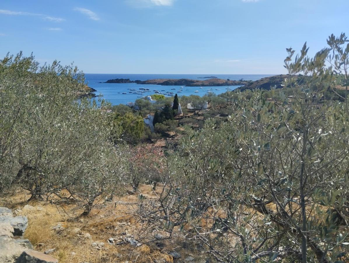 Atico Of 3 Rooms, Total 130M² Just For You With A 60 M² Terrace, Swimming Pool, Mountain And Marina View. Roses Bagian luar foto